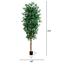 8’ Ficus Tree w/1512 Lvs