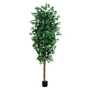 8’ Ficus Tree w/1512 Lvs