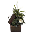 African Violet, Dieffenbachia & Ivy w/Chest Silk Plant