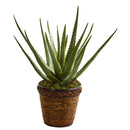 Aloe Artificial Plant in Basket