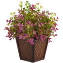 Assorted Grass with Planter (Set of 2)