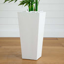 Bamboo Tree with White Planter UV Resistant (Indoor/Outdoor)