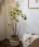 Artificial Silk Bauhinia Tree In Pot