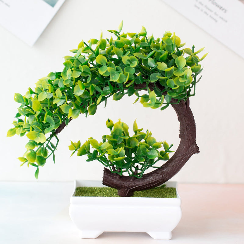 ornamental bonsai tree Ornamental Bonsai Tree