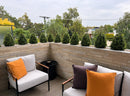 Boxwood Topiary Shrub with Ground Spike 22in – UV Resistant