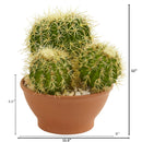 Cactus Garden Artificial Plant in Decorative Planter