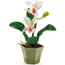 Cattelya Orchid w/Vase (Set of 3)