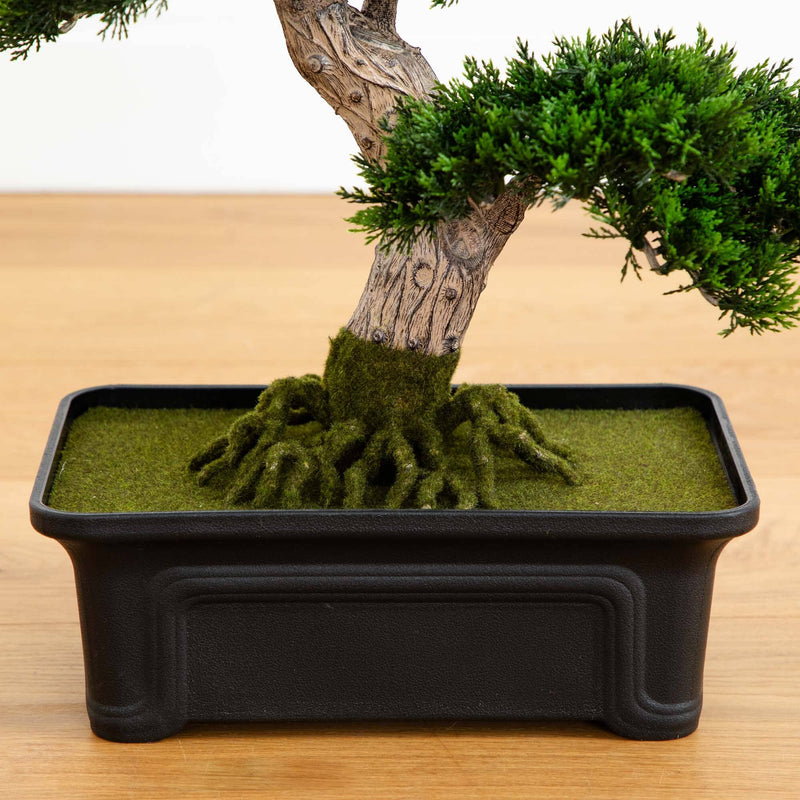 bonsai cedar tree Cedar Bonsai 24" Silk Plant"