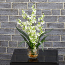 Dancing Lady Orchid Liquid Illusion Silk Flower Arrangement