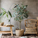Artificial Faux Eucalyptus Tree In Pot