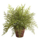 Fern w/Decorative Planter (Set of 2)