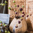 Artificial Fig Fruit Stem 46" Tall Silk Plant