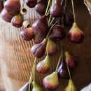 Artificial Fig Fruit Stem 46" Tall Silk Plant