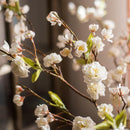 Faux Artificial Flower Sakura Blossom Stem 37" Tall Silk