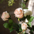 Faux Artificial Flower Silk 4 Rose Bloom Stem in Champagne Color 31" Tall