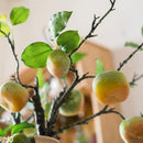 Artificial Green Persimmon Fruit Stem 31" Tall