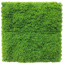 Sample Panel – Evergreen Moss Mat (Small Sample)