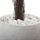 Ixora Topiary with White Planter UV Resistant (Indoor/Outdoor)