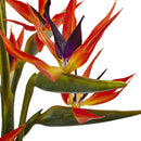 Large Birds of Paradise in Vase