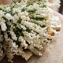 Faux Silk Artificial Lavender Eco PE Stem in White 18" Tall