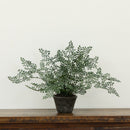 Maiden Hair Artificial Plant in Decorative Planter