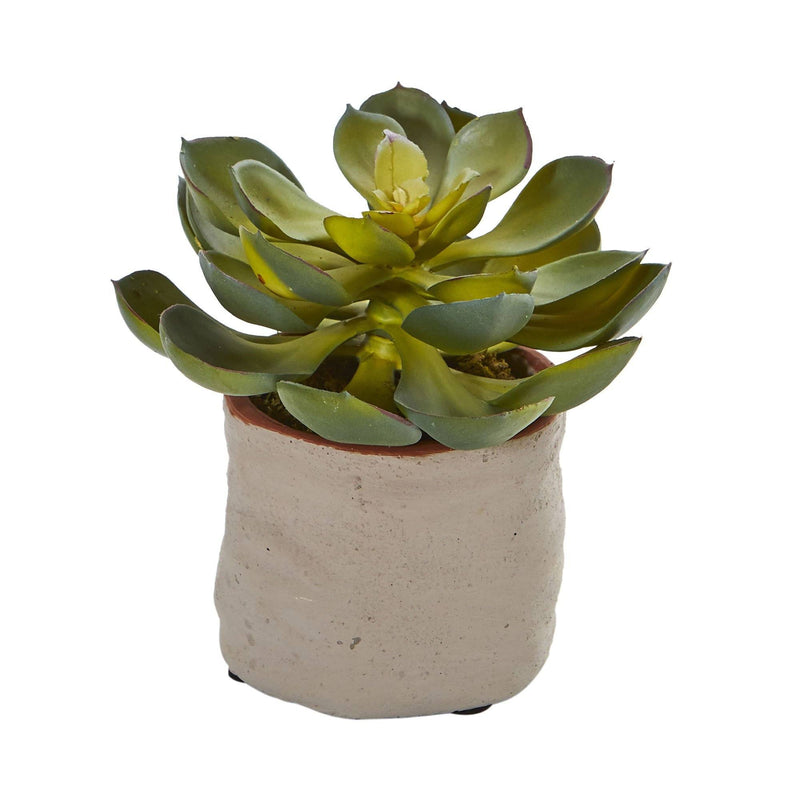 artificial succulent set Nearly Natural Mixed Succulent Artificial Plant (Set of 4)
