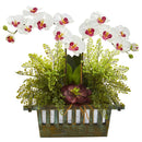 Orchid, Succulent and Maiden Hair Artificial Arrangement