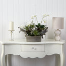 Orchid & Succulent Garden w/Driftwood & Decorative Vase