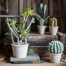 Artificial Faux Cactus Plant Bonsai Potted