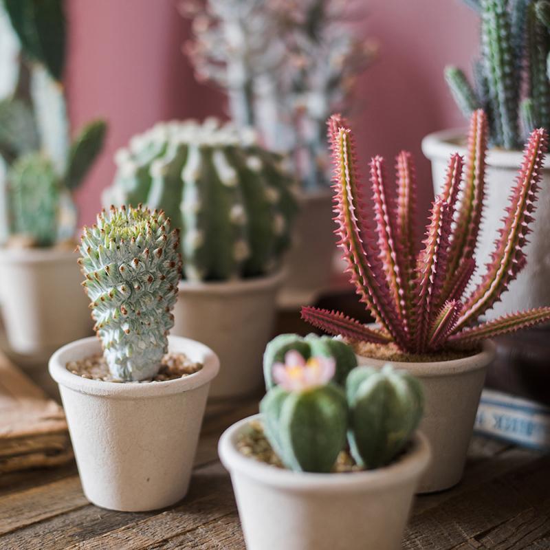 artificial potted cactus plants Artificial Faux Cactus Plant Bonsai Potted