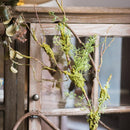 Artificial Plant Moss Rattan Stem 30" Tall
