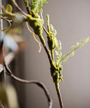 Artificial Plant Moss Rattan Stem 30" Tall
