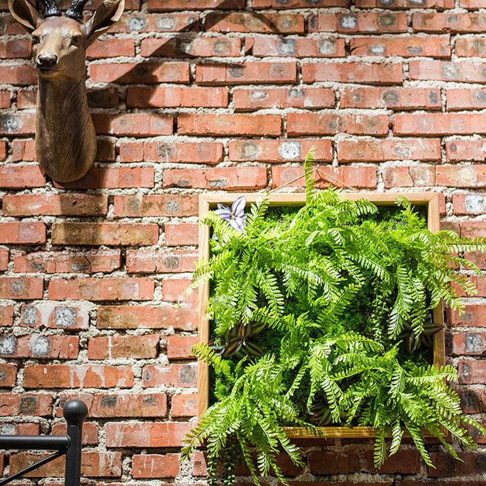 large faux succulent wall art Artificial Faux Plant Succulent Wall Art