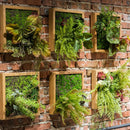 Artificial Faux Plant Succulent Wall Art