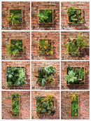Artificial Faux Plant Succulent Wall Art