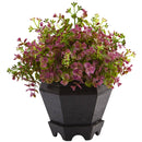 Sedum and Eucalyptus Plant with Planter