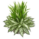 Silver Queen and Grass Artificial Plant in Stone Planter