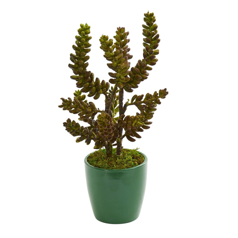 Succulent Artificial Plant in Green Pot (Set of 2)