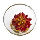 Artificial Succulent Plant in Slanted Glass Vase (Set of 2)