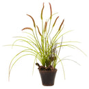 Swampy Cattail Garden w/Planter