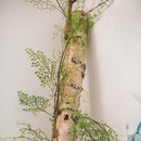 Artificial Vines Maidenhair Fern 55" Long