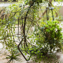 Artificial Vines Maidenhair Fern 55" Long