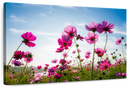 Wild Cosmos Flowers Wall Art