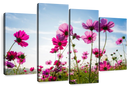 Wild Cosmos Flowers Wall Art