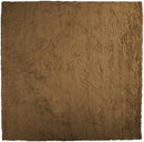 Apopka Modern Brown Area Rug
