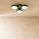 Ashane Ceiling Light