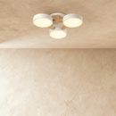 Ashane Ceiling Light