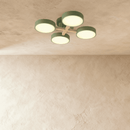 Ashane Ceiling Light
