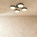 Ashane Ceiling Light