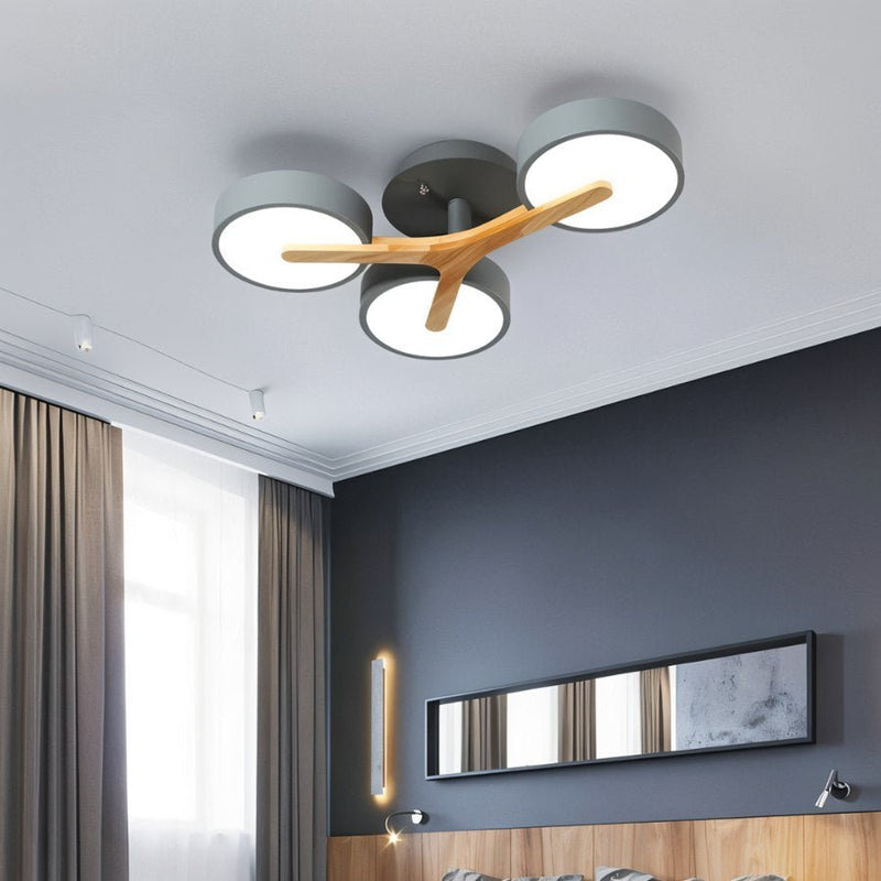 Ashane Ceiling Light